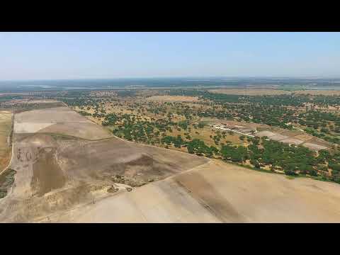 Long Range de Benavente  á Coutada velha ( 4 Km ) #628