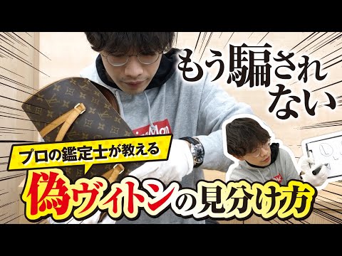 Biton (属)について詳しく解説