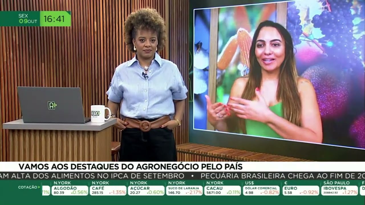 Algodão na Bahia: estado colhe mais de 986 mil toneladas