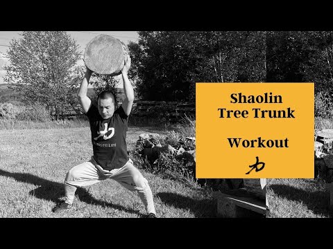 10 min - Shaolin Tree Trunk Workout - Body Conditioning & Strengthening | Leg, Core, body & Arm.