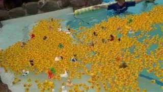 preview picture of video 'Duck Race Center Parcs for Make-A-Wish Charity by Spice UK'