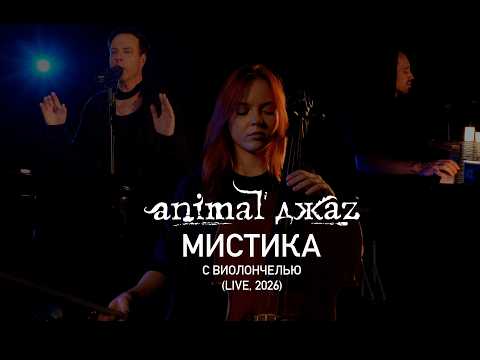 Animal ДжаZ — Мистика (с виолончелью, 2026)