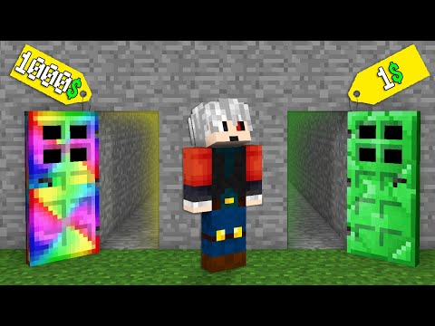 1$ KAPI VS 1000$ KAPI - Minecraft