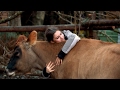 Bush Cows Are More Affectionate Than You Might Think | Alaskan Bush People