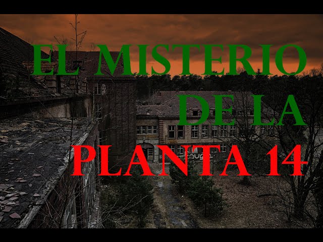 Vídeo relacionado con El feto: Nacidos y desaparecidos: 1