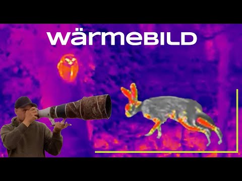 Eulen mit Wärmebildkamera finden? Vor und Nachteile der Technik