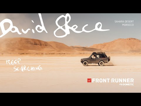 KEEP SEARCHING: DAVID STECA