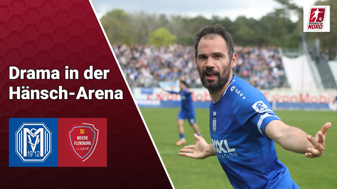 SV Meppen vs SC Weiche Flensburg 08 Highlights