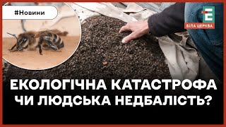 �� ������������� ������ �������� ������, �������� � �������