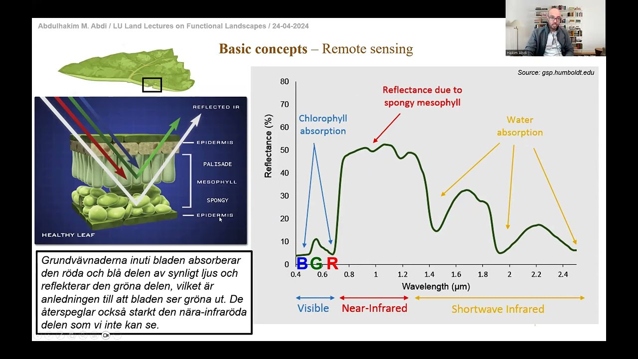 Remote sensing and AI – Opportunities for biodiversity conservation and nature management?