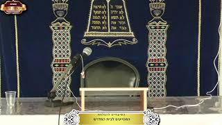 בית המדרש "תורת דוד" ¤ שידור חי ¤ י"ז אב תשפ"ה (11.8.2024) (מוסדות תורת דוד) - התמונה מוצגת ישירות מתוך אתר האינטרנט יוטיוב. זכויות היוצרים בתמונה שייכות ליוצרה. קישור קרדיט למקור התוכן נמצא בתוך דף הסרטון