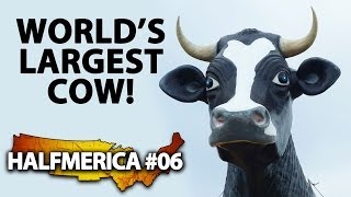 preview picture of video 'The World's Largest Cow + Being Stabbed By Africans -- #Halfmerica'