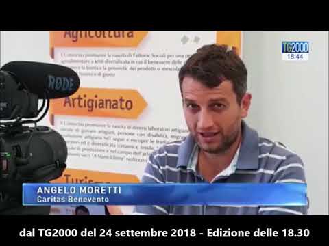 dal TG2000 del 24 settembre 2018 sul Decreto "Immigrazione e Sicurezza 2018"