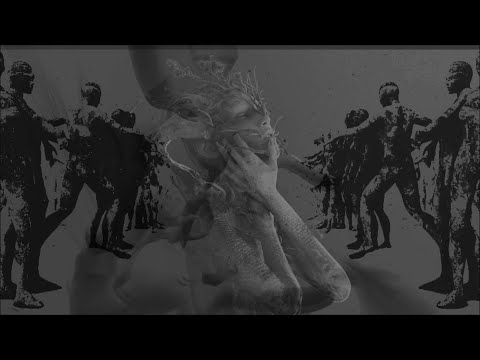 3D. FLY FAMILY NEGO - ZASE ... / demo krad/revit 1983 -live  / 3D. FLY FAMILY NEGO   /