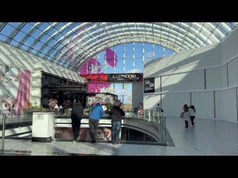 Blue Laws American Dream