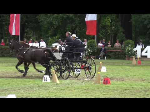 Geert DIJKHOF (NED) FEI CH-M-AH2, Drebkau (Germany), cones, 15.09.2019