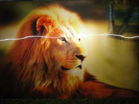 REGGAE EXC.melô de Inês Lion( Ary Lion ) ..wmv