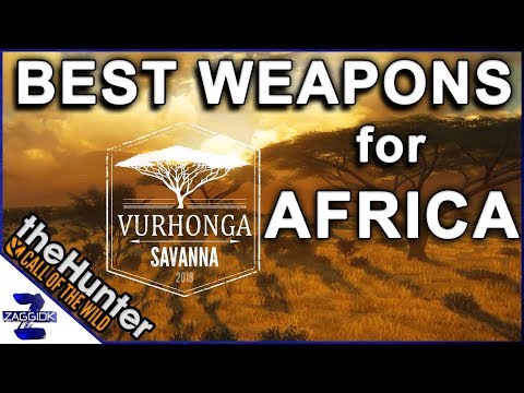 Best Weapons For Africa Thehunter Call Of The Wild Tips Tricks And Guides Best Weapons For Africa Thehunter Call Of The Wild Tips Tricks And Guides