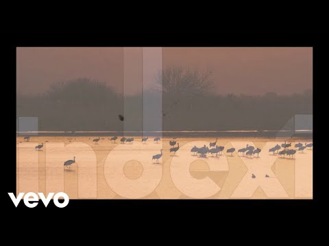 Video Placeholder