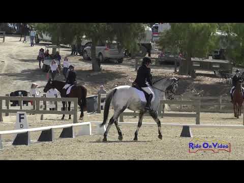 302D Natalie Kavaler on Remington Steele JR Novice Dressage Woodside October 2018