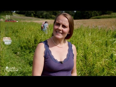 Lust auf´s Land - Bayrische Hofgeschichten - Hanfanbau im Allgäu