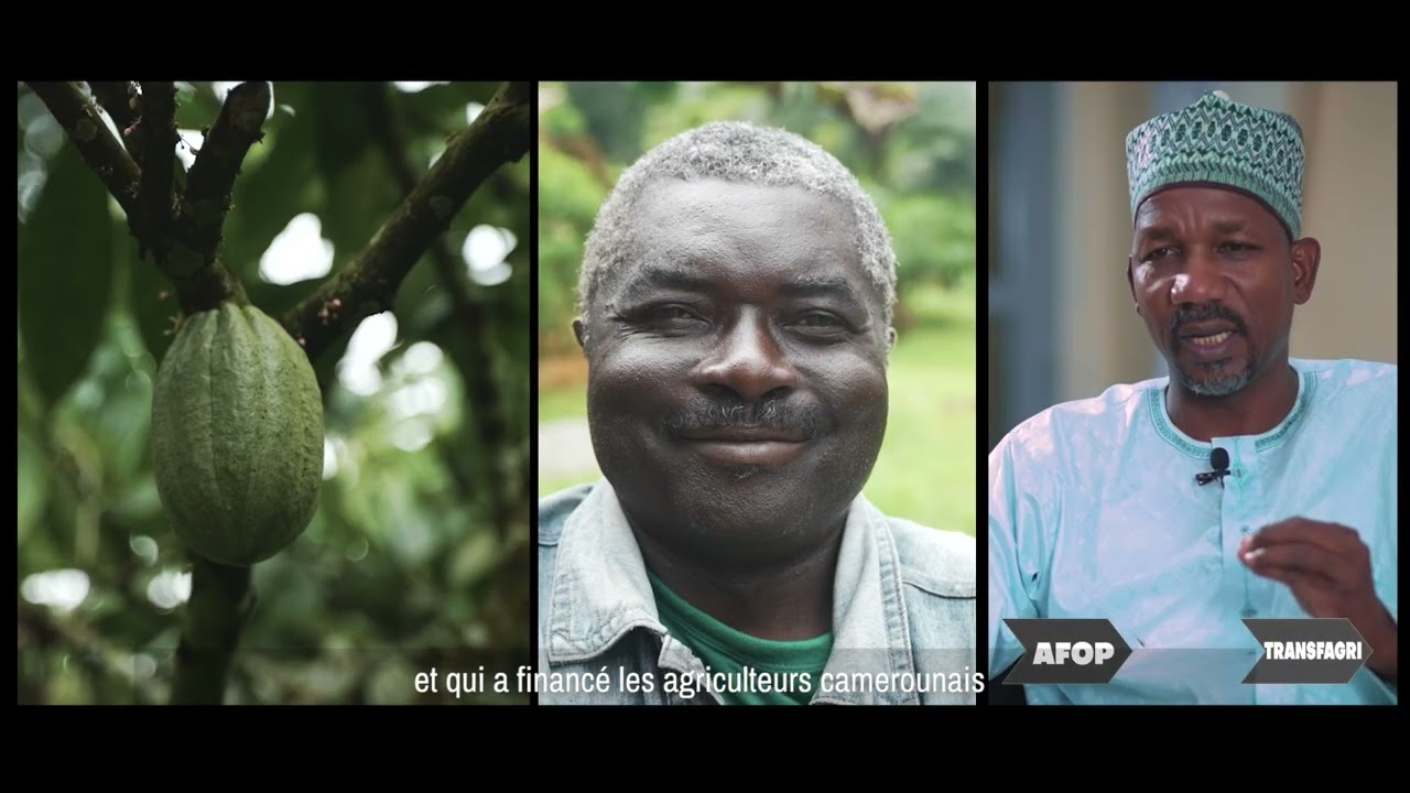 Institutional FIlm AFD CAMEROON