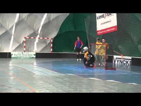 Florbal ženy FBC Horní Suchá : Paskov Saurians 8 2 2015