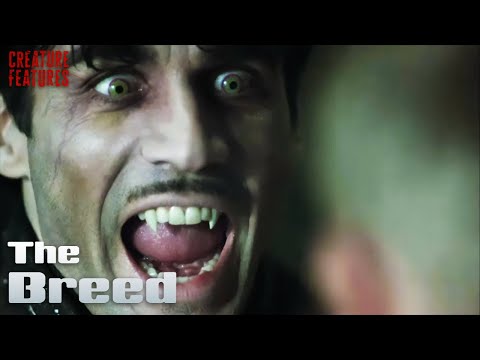 Vampire Versus Nazis | The Breed | Creature Features