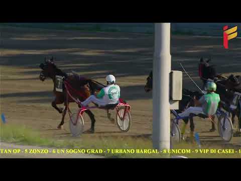 III Corsa del 2 novembre 2022 - 7 Anni ed oltre - Metri 2000