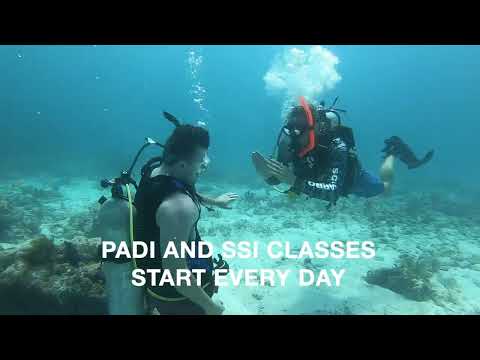 Key Largo Scuba Diving | Best Of The Florida Keys