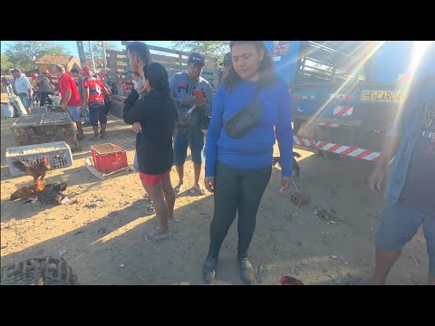 Feira da galinha de Santa Cruz do Capibaribe-PE 27 de abril de 2026