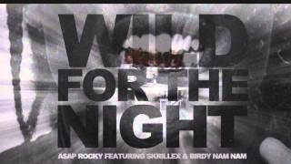 Download lagu Asap Rocky ft. Skrillex - Wild For The Night (Explicit) mp3