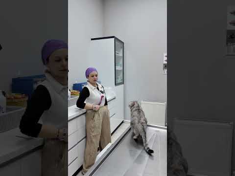 Muayene masasına yaklaştırmadı😅