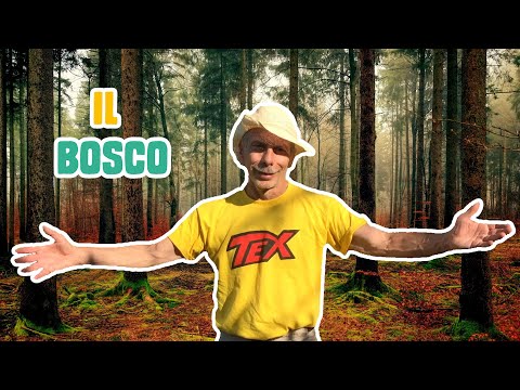 GIOVA LOVES NATURE 🌳 - Ep.15 - Il BOSCO che ci connette tutti
