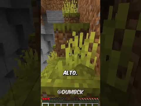 Ho battuto un record mondiale in MINECRAFT!✅ #shorts