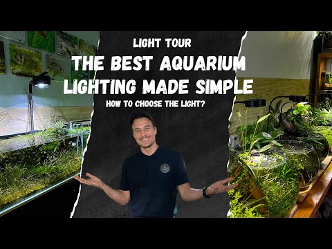 AQUARIUM LIGHTING SIMPLIFIED | LIGHT TOUR