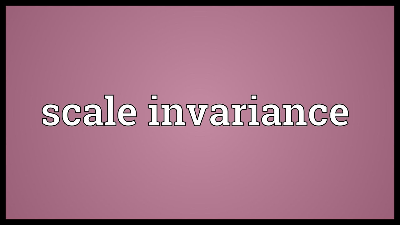 Scale invariance Meaning