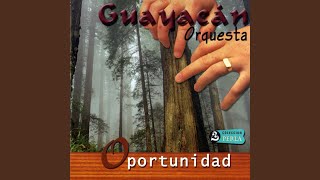 Oportunidad Lyrics English Translation