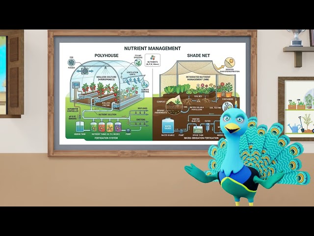 thumbnail of the course