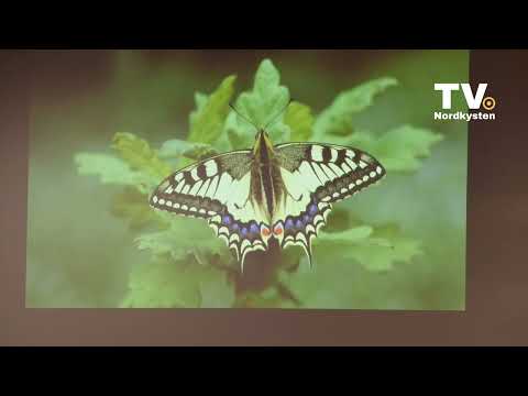 Foredrag om insekter og biodiversitet   i din egen have - af Michael Stoltze.