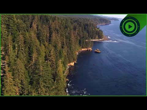 Vancouver Island: Exploring the Rugged Edge of Canada