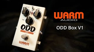 Video thumbnail for A new take on a classic!! Warm Audio ODD Box V1 by Jon is just TOO LouD!!