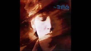 1-5-The Triffids-Unmade Love