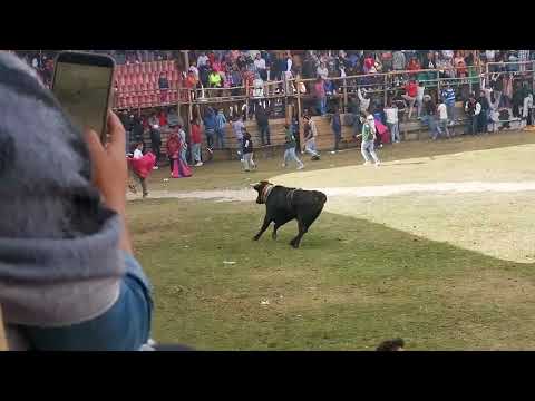 TOROS EN DIA SÁBADO 2