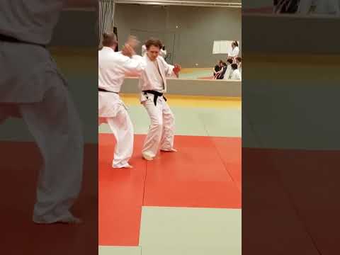 Jiu Jitsu Batto Ryu. Ausführung Hermann Renshi.