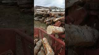 &Sigma;έ&sigma;&omicron;&upsilon;&lambda;&alpha; &tau;&rho;&alpha;&kappa;&tau;έ&rho; Vimek 90 | &Alpha;&pi;&epsilon;&iota;&kappa;ό&nu;&iota;&sigma;&eta; 4 - Agroline