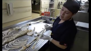 Death, Grief and New Mexico's OMI