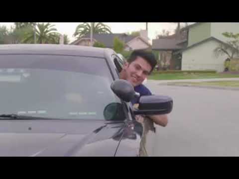 Aaron's Cats exceso de ternura