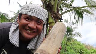 HARVEST TAYO NG COCONUT WINE MAHIRAP PALA KODUS TO ALL COCONUT PILOT BINAGRE NGA TUBA TAM IS KAAYO