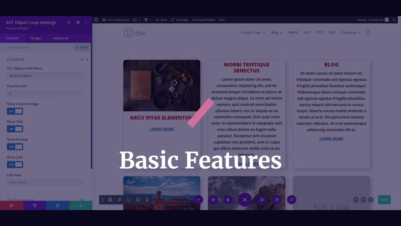 Divi ACF Object Loop  -  Basic Features